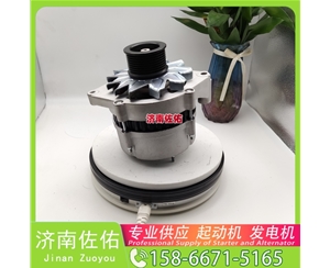 江西S00020830+01启动机504225814 上柴 杰狮 Sany Trucks 欧霸重卡 13 发电机